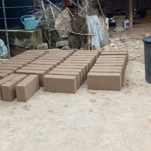 fc22e463-6528-4fc8-a5df-d83fb1d56d25